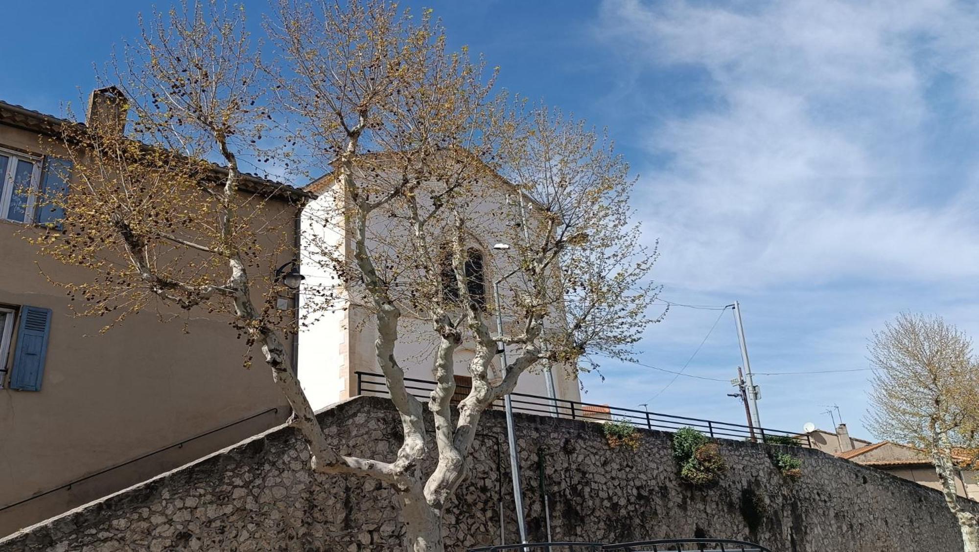 Romarin * Lumineux * Linge Hotelier * Fibre * Confort La Destrousse Exterior foto